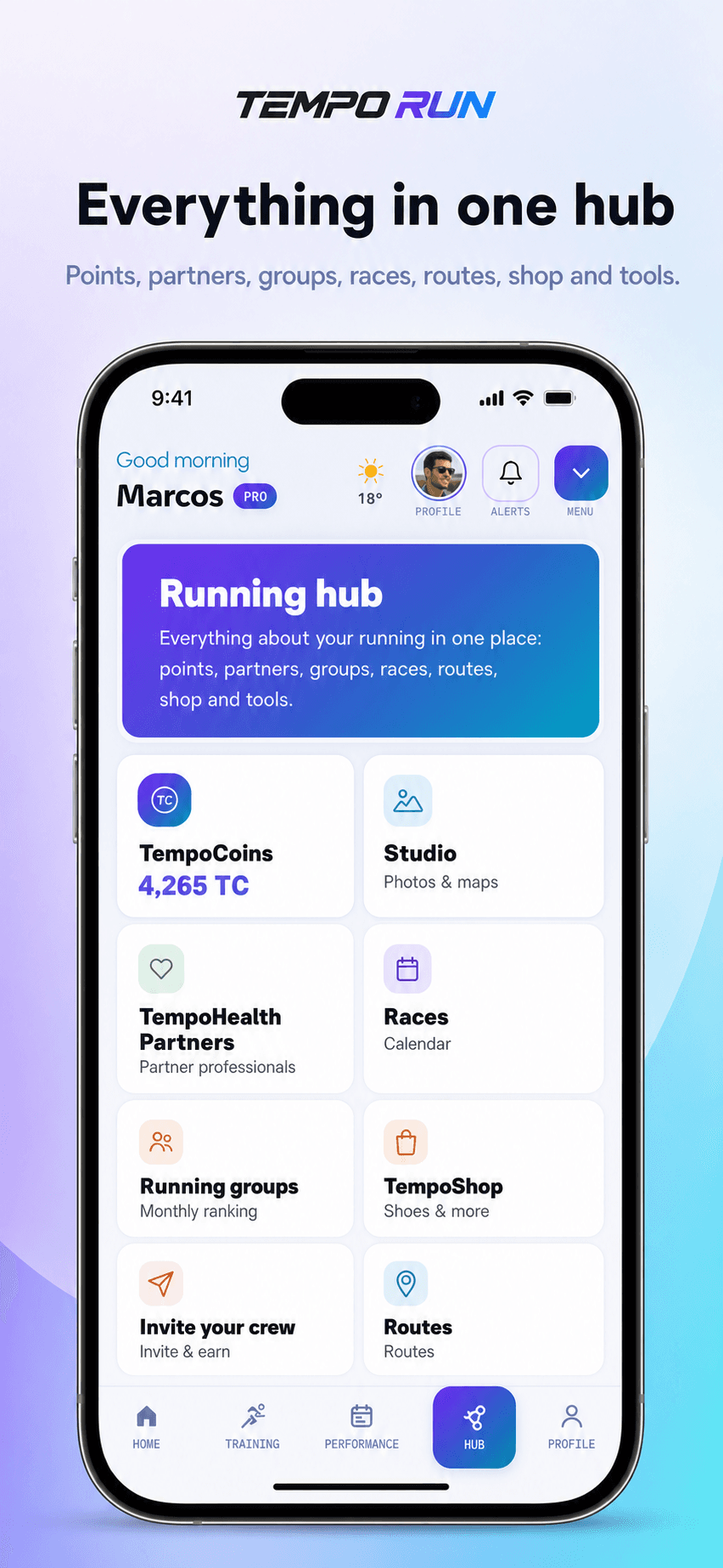hub